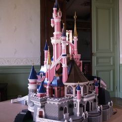 _3058317.JPG Chateau Disneyland Paris with Prusa MK2S MMU (Ed2)