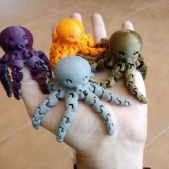 IMG_20190316_111642.jpg Cute Mini Octopus