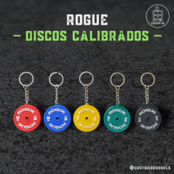 Discos-Rogue.png Rogue Calibrated Discs : Crossfit Fitness Key Chain : Crossfit Gym